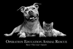 operation education animal rescue